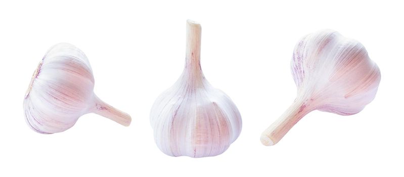 Set of garlic raw vegetable isolated on a white background.