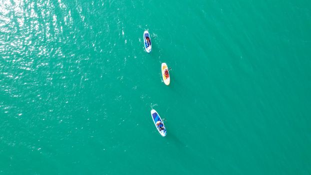 A group of people ride sup surfing in the lake. Aerial view from the drone of the green water and rocky beaches. Inflatable sapboard board. Trees and bushes grow on the bank of Kapchagai.