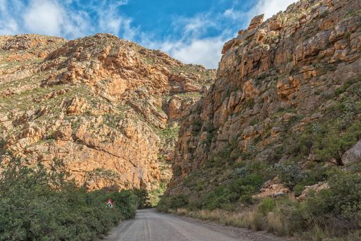 Road through Seweweekspoort in the Swartberg mountains of the Western Cape Karoo