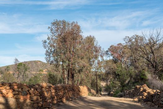 Road with historic stone boundary walls on a farm near top of Seweweekspoort in the Swartberg Mountains