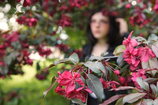 portrait of young beautiful brunette girl in black jacket and burgundy sweater standing near cherry blossoms on sunny spring day. outdoor closeup