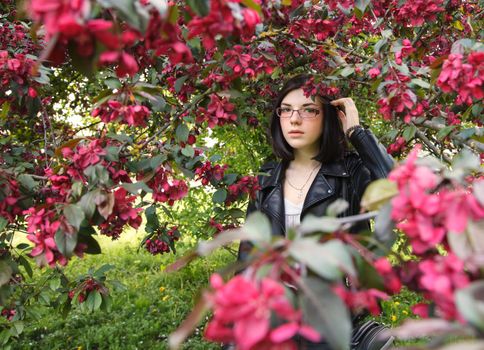 portrait of young beautiful brunette girl in black jacket standing near cherry blossoms on sunny spring day. outdoor closeup