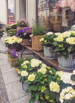 Wollerau, canton of Schwyz, Switzerland circa June 2021: Flower shop on street, Swiss architecture and real estate