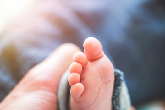 Close up of newborn baby feet on baby blanket