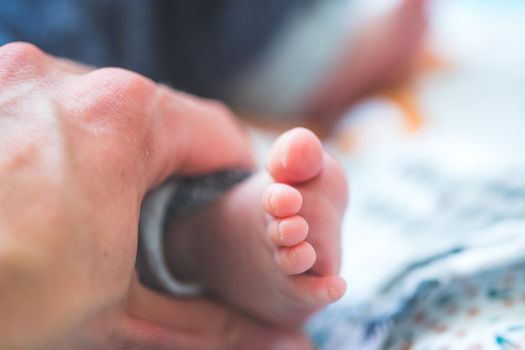 Close up of newborn baby feet on baby blanket