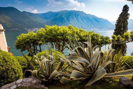 wiew of lake Como, near Bellagio, piedmonte, italy