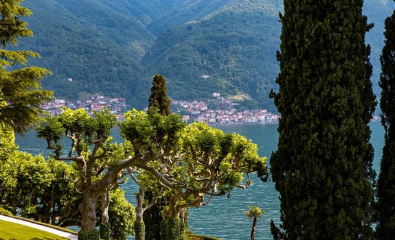 wiew of lake Como, near Bellagio, piedmonte, italy