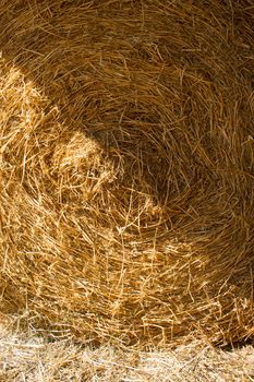 Straw used for the litter for horses in a riding school