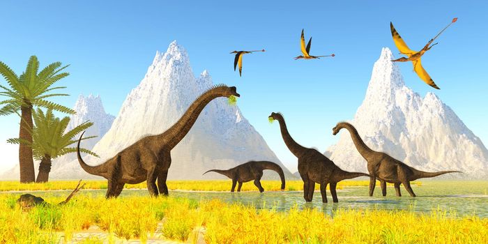 A flock of Rhamphorhynchus reptiles fly over a herd of Brachiosaurus dinosaurs eating water plants.