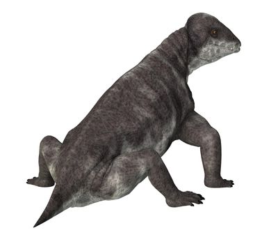 Criocephalosaurus was a therapsid dinosaur that lived during the Permian Period of South Africa.