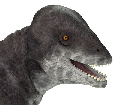 Criocephalosaurus was a therapsid dinosaur that lived during the Permian Period of South Africa.