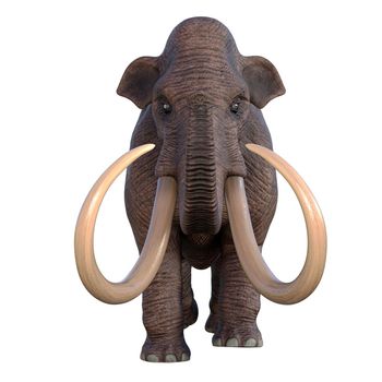During the Ice Age of North America the Columbian Mammoth was the megafauna of the continent.