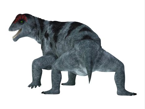 Moschops was a therapsid herbivorous dinosaur that lived during the Permian Period of South Africa.