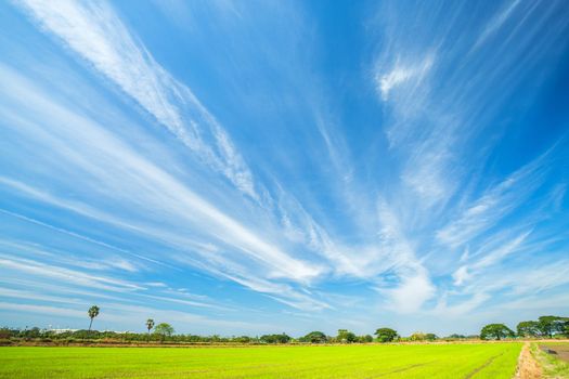 blue sky background texture with white clouds.