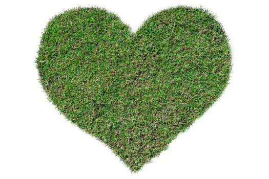 Heart-shaped green grass growing on Isolated on white.Love concept