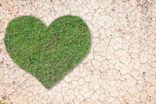 Heart-shaped green grass growing on brown dry soil or cracked ground texture background.Love concept