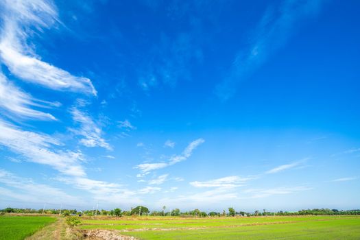 blue sky background texture with white clouds.