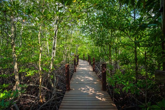 bridge wooden walking way in The forest mangrove in Chanthaburi Thailand.