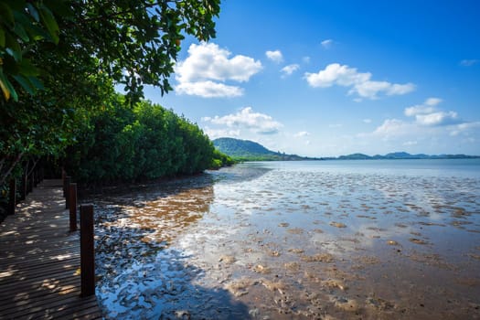 bridge wooden walking way in The forest mangrove and the sea the horizon in Chanthaburi Thailand.