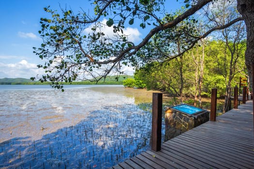 bridge wooden walking way in The forest mangrove and the sea the horizon in Chanthaburi Thailand.