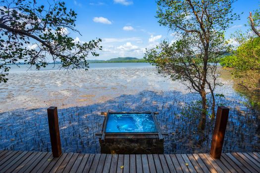 bridge wooden walking way in The forest mangrove and the sea the horizon in Chanthaburi Thailand.