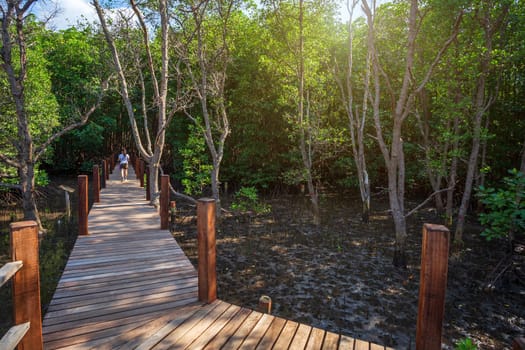 bridge wooden walking way in The forest mangrove in Chanthaburi Thailand.