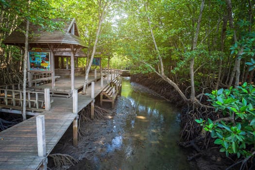 bridge wooden walking way in The forest mangrove in Chon Buri province,Thailand.