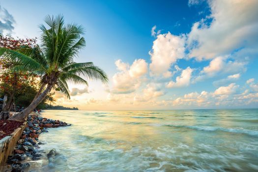 Beautiful early morning sunrise over Coconut tree with the sea the horizon at Hat chao lao beach in Chanthaburi Thailand.