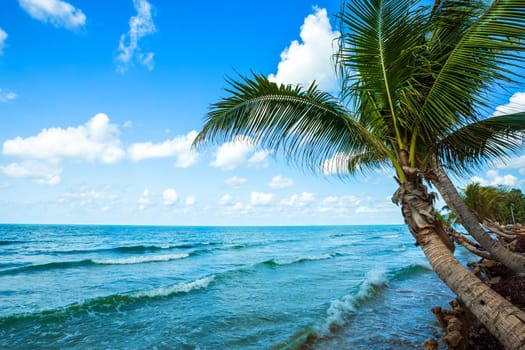 Beautiful daytime over Coconut tree with the sea the horizon at Hat chao lao beach in Chanthaburi Thailand.