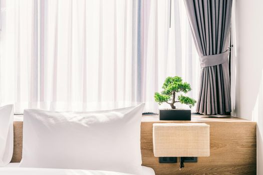 Close-up of white pillow on bed decoration with light lamp and green tree in flowerpots in hotel bedroom interior.