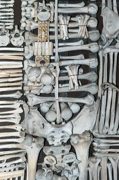 Kutna Hora, Czech Republic, February 19, 2014: Detail of a decoration composed of human bones in the ossuary in Sedlec in Kutna Hora