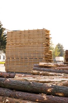 Storage of piles of wooden boards on the sawmill. Boards are stacked in a carpentry shop. Sawing drying and marketing of wood. Pine lumber for furniture production, construction. Lumber Industry