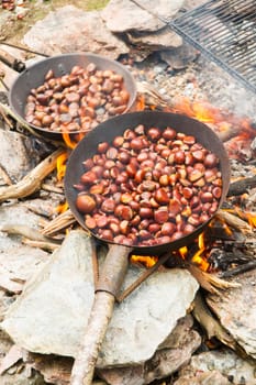 Baking pans with chestnut typical of high heat
