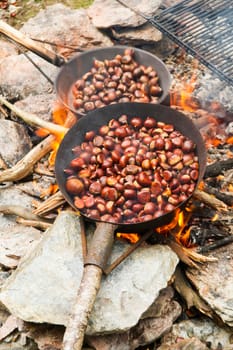 Baking pans with chestnut typical of high heat
