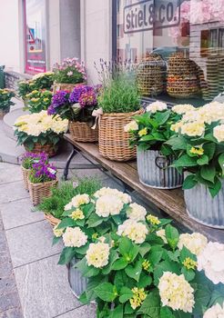 Wollerau, canton of Schwyz, Switzerland circa June 2021: Flower shop on street, Swiss architecture and real estate