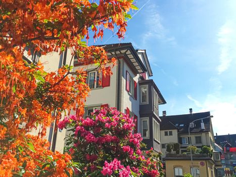 Richterswil, canton of Zurich, Switzerland circa June 2021: Blooming trees and house on street, Swiss architecture and real estate