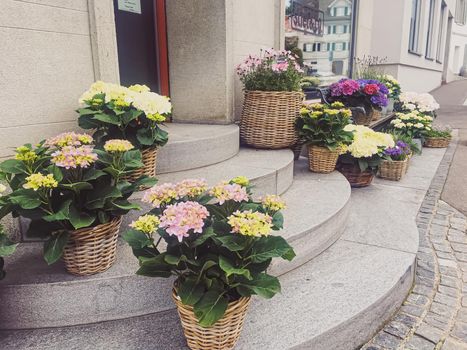 Wollerau, canton of Schwyz, Switzerland circa June 2021: Flower shop on street, Swiss architecture and real estate