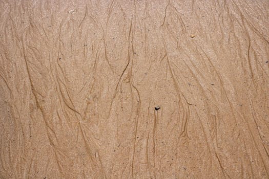 Wet sand and traces of streams on the shore. Top view.