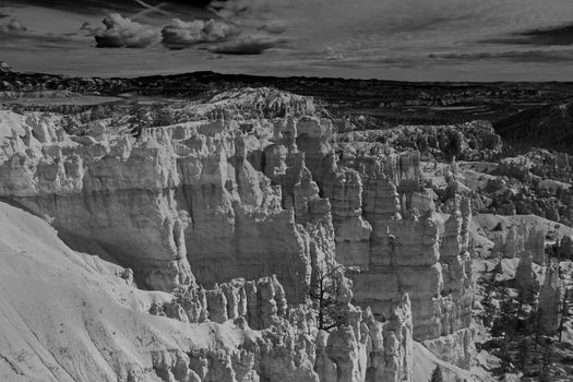 A monochrome image of the view over Bryce Canyon National Park from the Rim Trail.