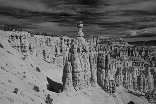 Thor's Hammer on the Navajo Trail is one of the well known landmarks of Bryce Canyon National Park.