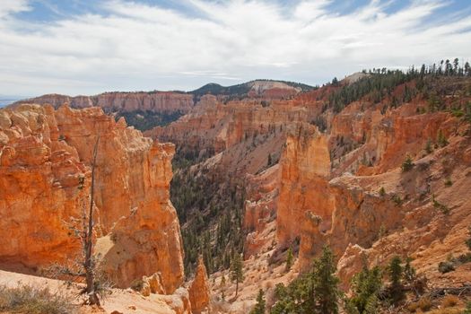 View over Bryce Canyon from Black Wolf Canyon