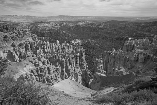 View over Bryce Canyon 2406 BW