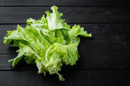 Raw organic green, oak lettuce, on black wooden table with copy space for text