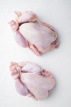 Fresh raw whole chicken carcass, on white background, top view