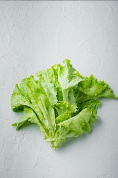 Green salad lettuce fresh leaves, on white background