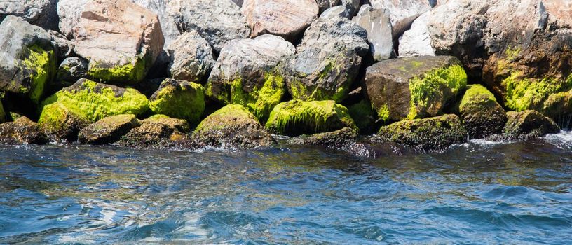 Mossy rocks on the coast of sea on display