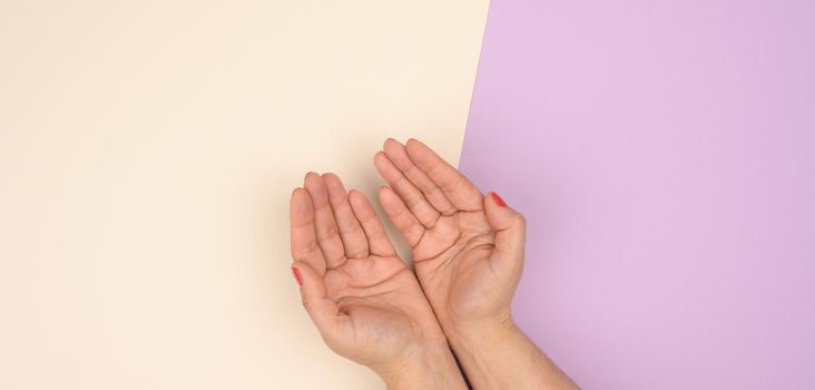 two female hands folded palm to palm on a beige  purple background, top view