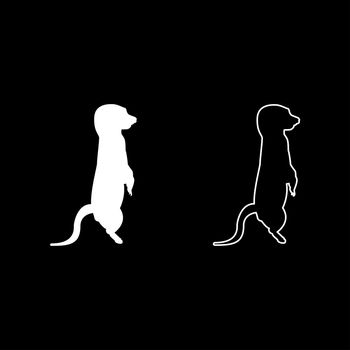 Meerkat in pose Suricata Suricatta silhouette white color vector illustration solid outline style simple image
