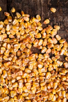 Representation of dried corn kernels ready for grinding