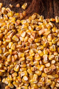 Representation of dried corn kernels ready for grinding